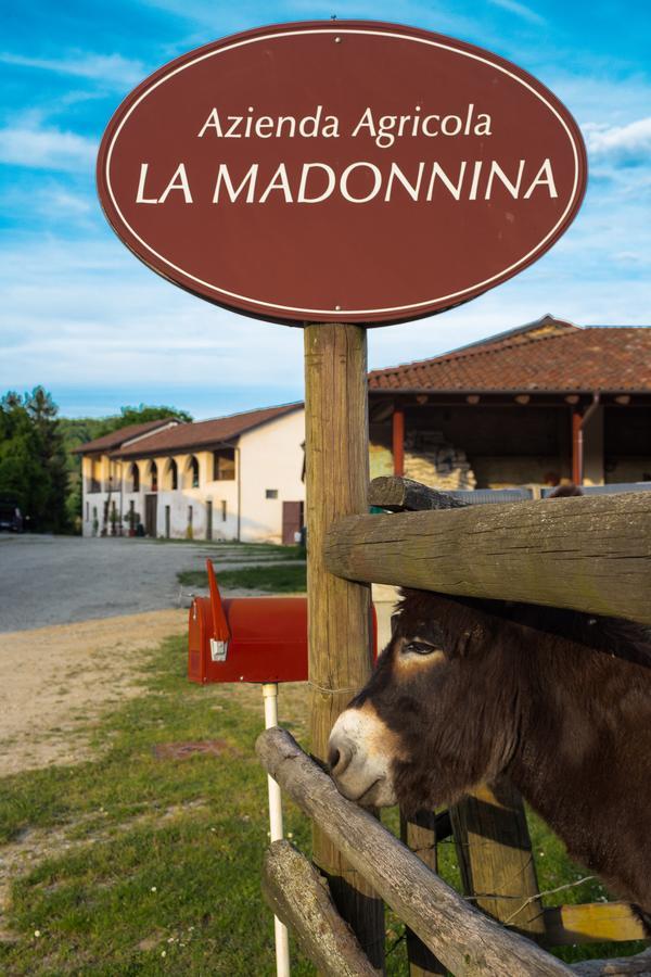 La Madonnina Agriturismo Dorè Alba  Esterno foto